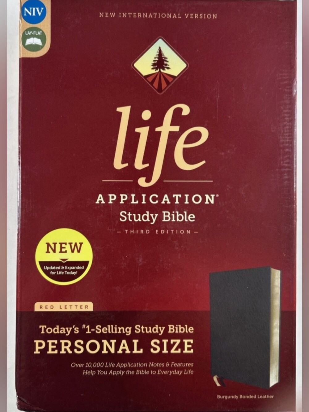 Personal Size Life Application Study Bible - Burgandy/Maroon Cover by Zondervan